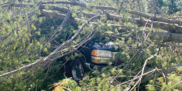 High Winds and Severe Weather Damage Fentress County